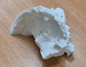 Anatomical sinus reproduction for practice