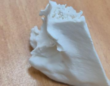 Printed ENT surgical training tool