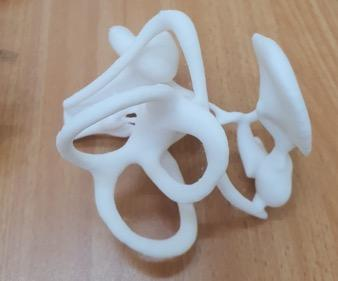 3D printed inner ear model