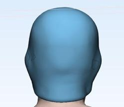 3D printed orange nasal bolus