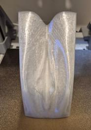 3D printed anatomical model