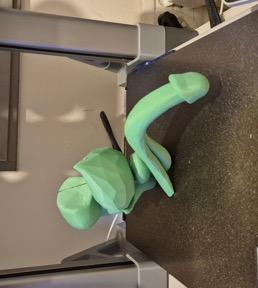 Green 3D printed kidney with vascular structures