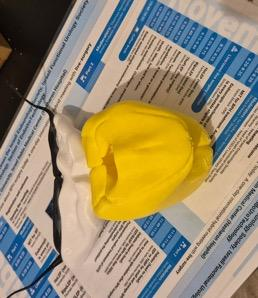 3D printed organ training model